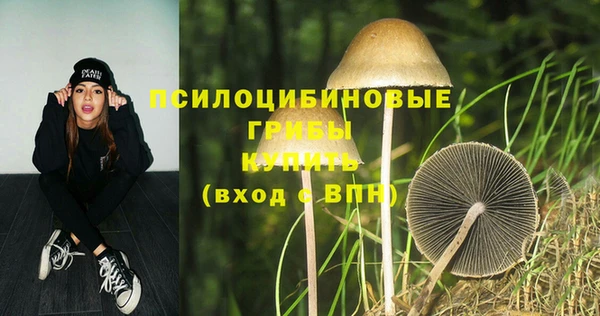 mdpv Майский