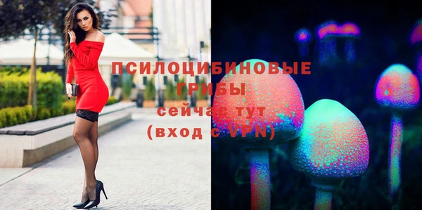 эйфоретик Абаза