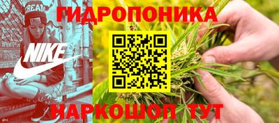 гидра Гай