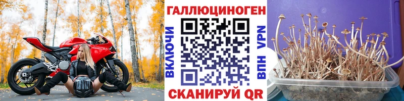 ОМГ ОМГ ONION  купить наркоту  Екатеринбург  Псилоцибиновые грибы MAGIC MUSHROOMS 